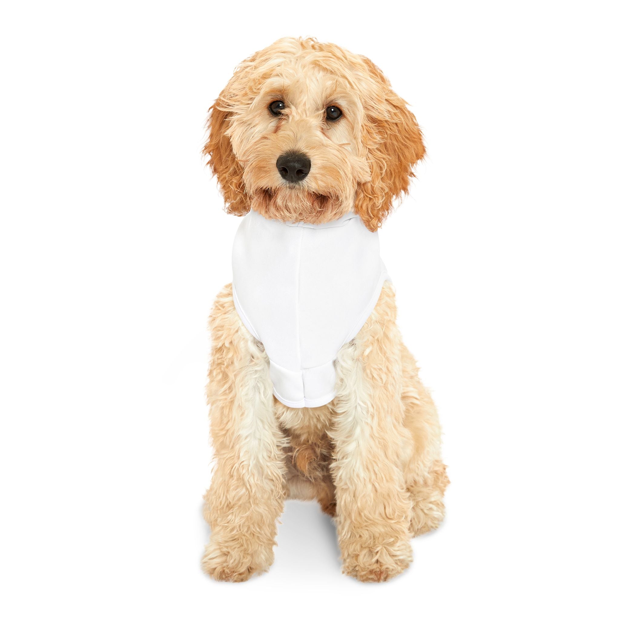 Personalized Pet Hoodie – Custom Dog Hoodie with Your Design | Custom Swag™