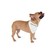 Custom Swag Pet Bandana — Personalized White Triangle Dog & Cat Accessory