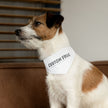 Custom Swag Pet Bandana Collar — Personalized 'Custom Swag: Wear Your Identity' Dog & Cat Bandana
