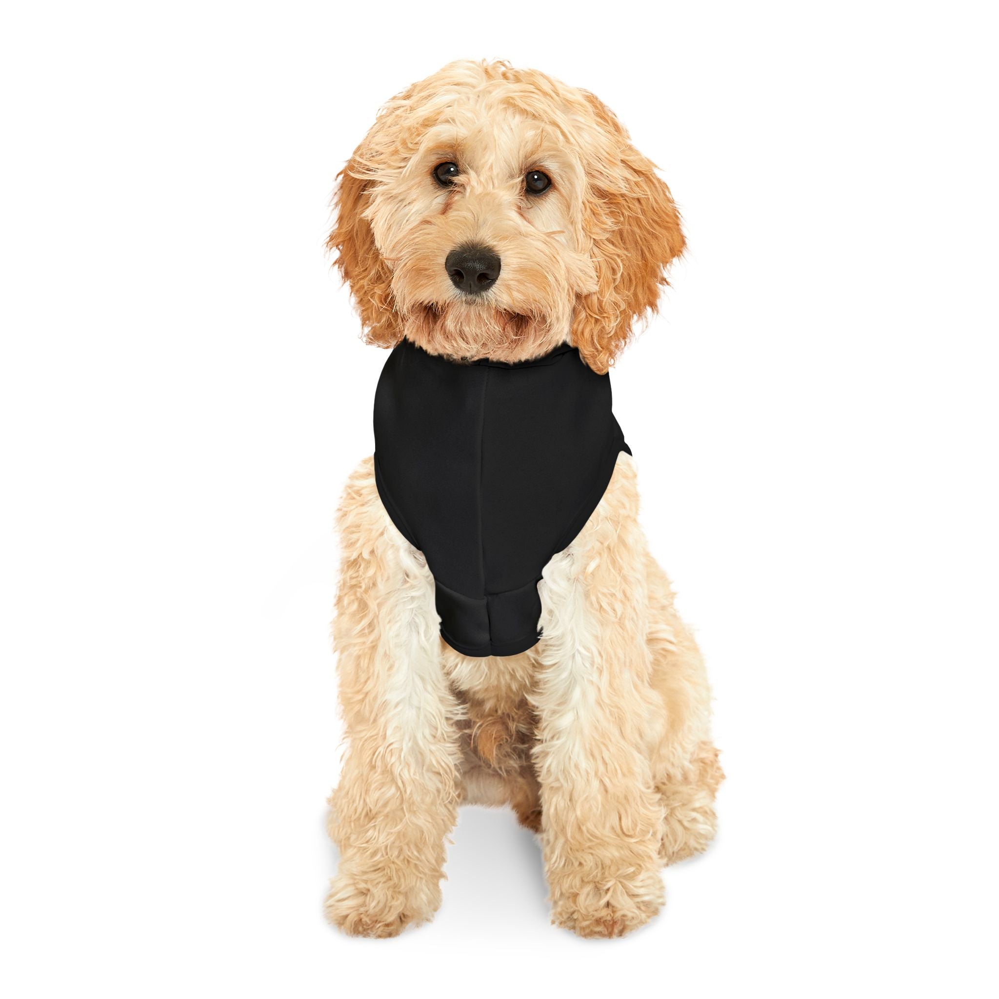 Personalized Pet Hoodie – Custom Dog Hoodie with Your Design | Custom Swag™